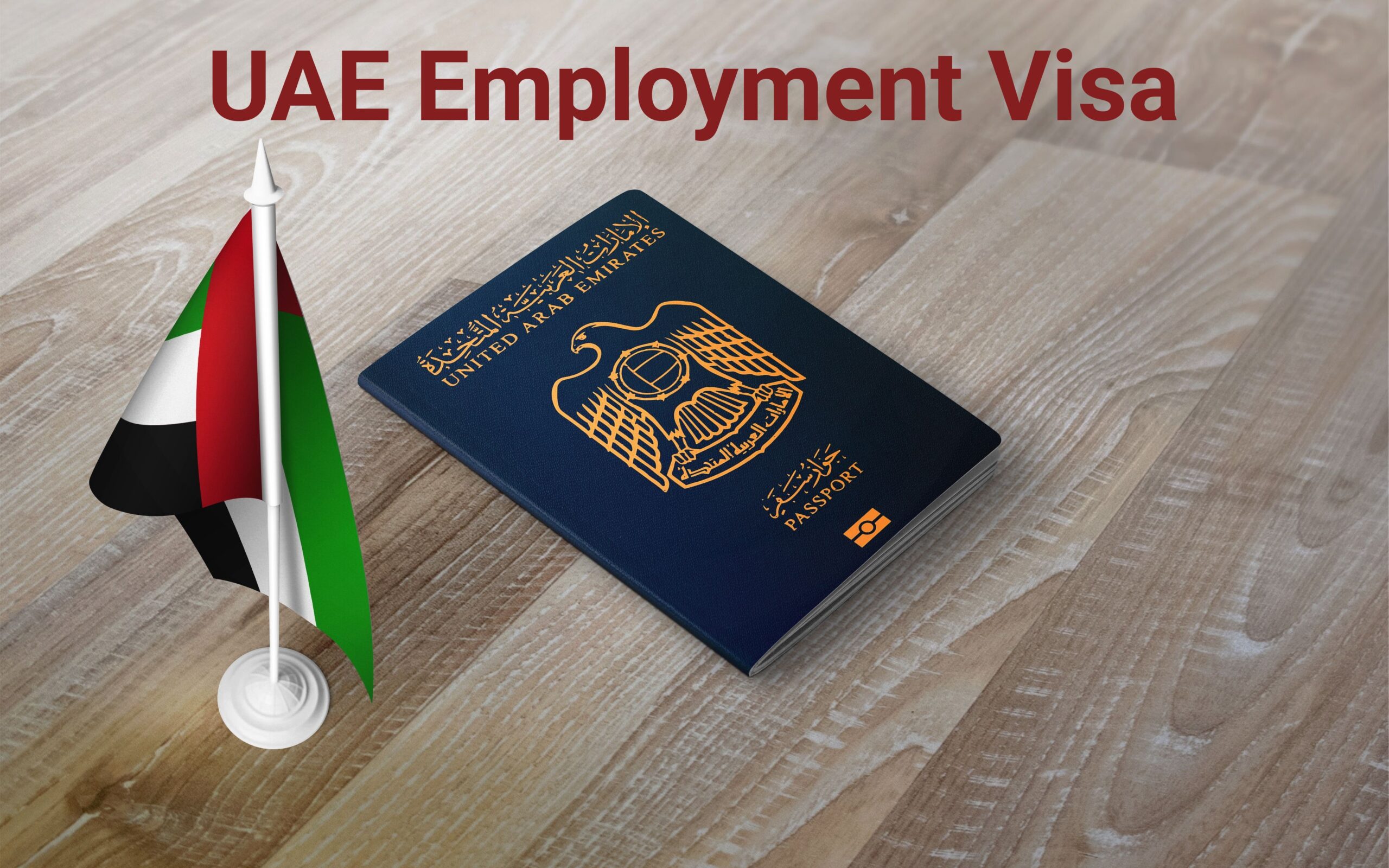 Employment Visa
