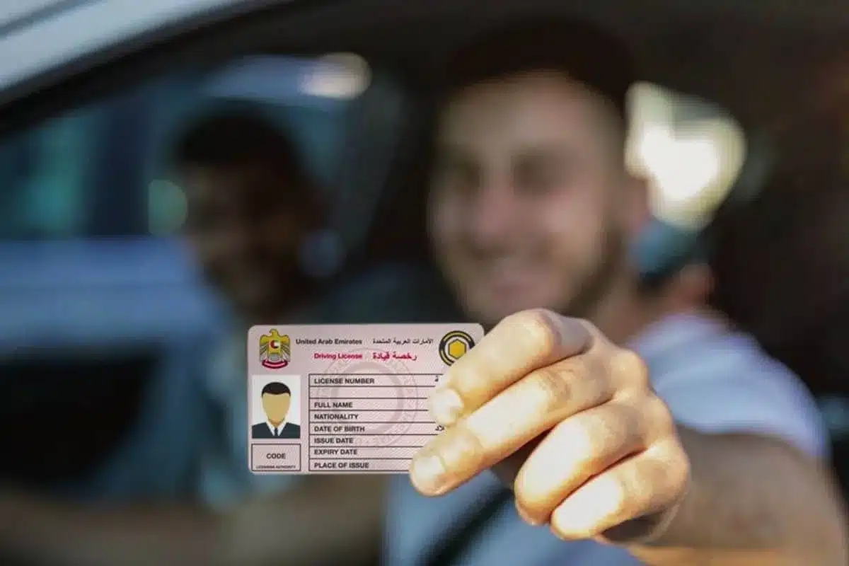 Driving License Translation Services